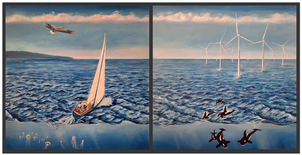 Wind - Seeadler - Orcas - Windkraftwerke - Quallen